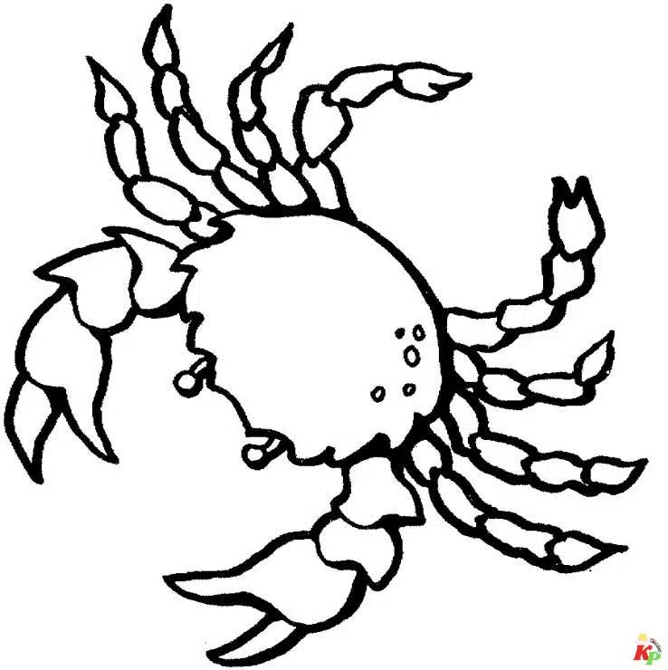 Krab 23
