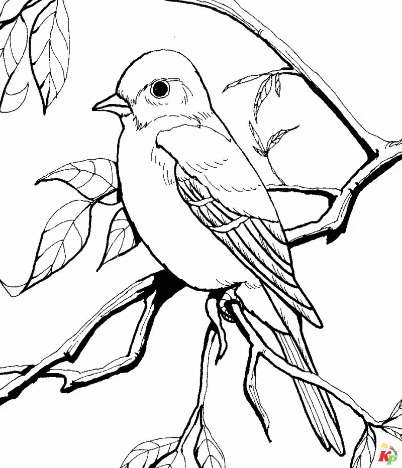 Vogel 3