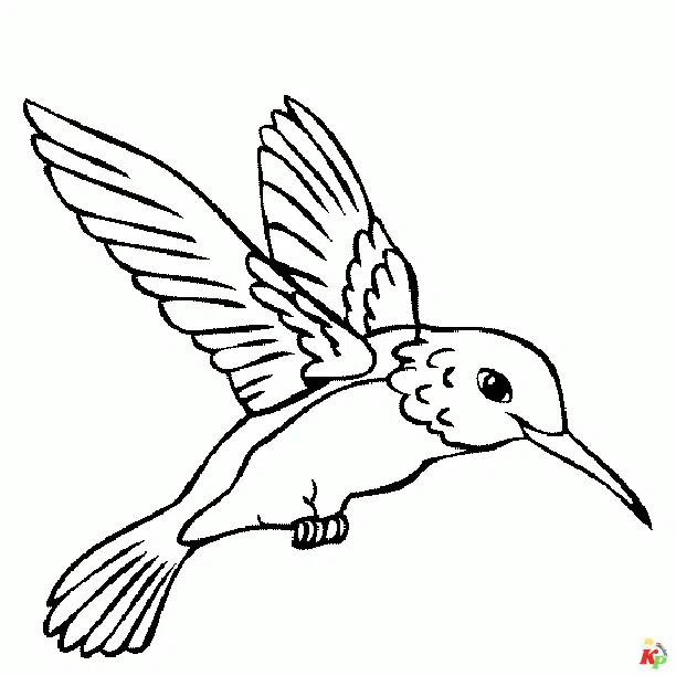 Vogel 5