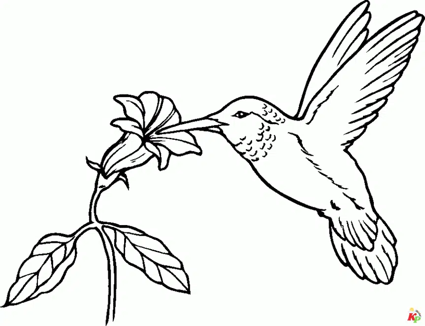 Vogel 7