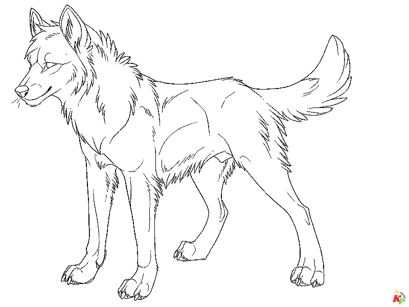 Wolf 3