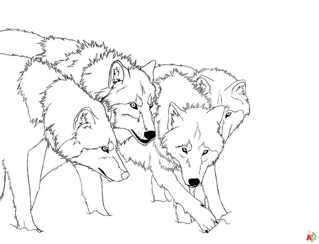 Wolf 5