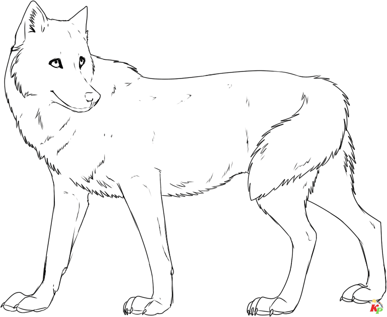 Wolf 11