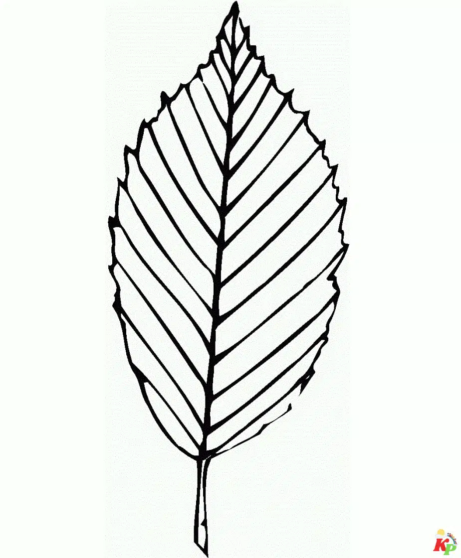 Blad (1)