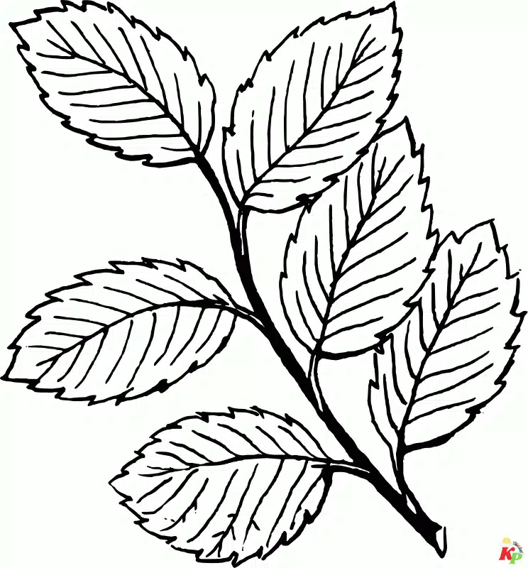 Blad (3)