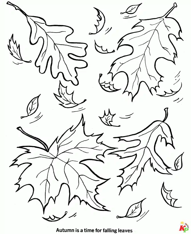 Blad (5)