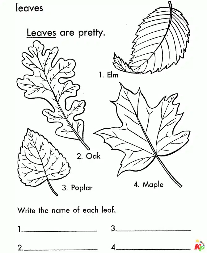 Blad (6)