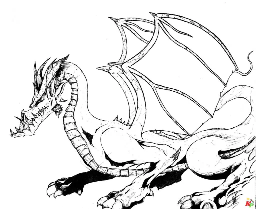 Draak (13)