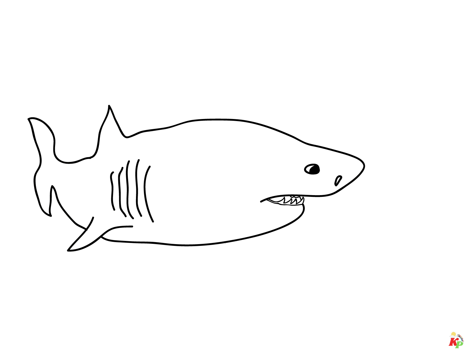 Haaien01