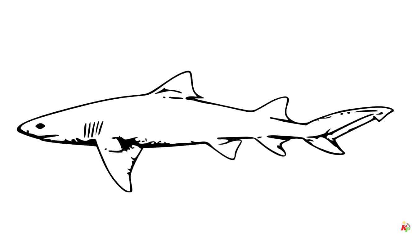 Haaien02
