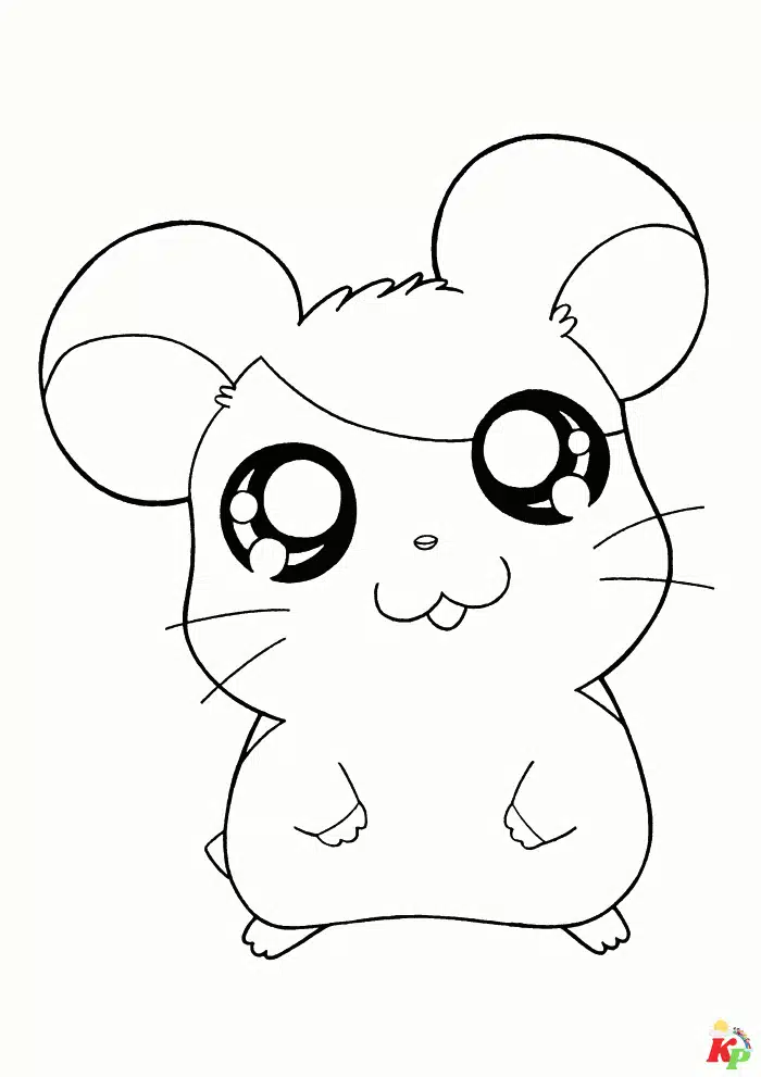 Hamsters05