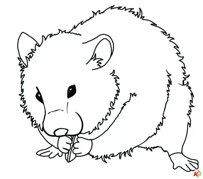 Hamsters19