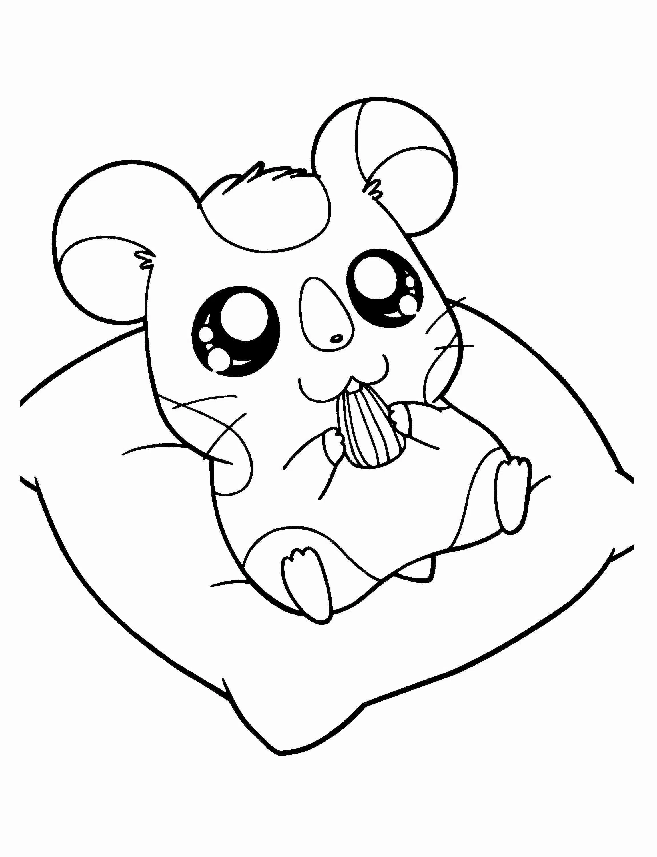 Hamsters20