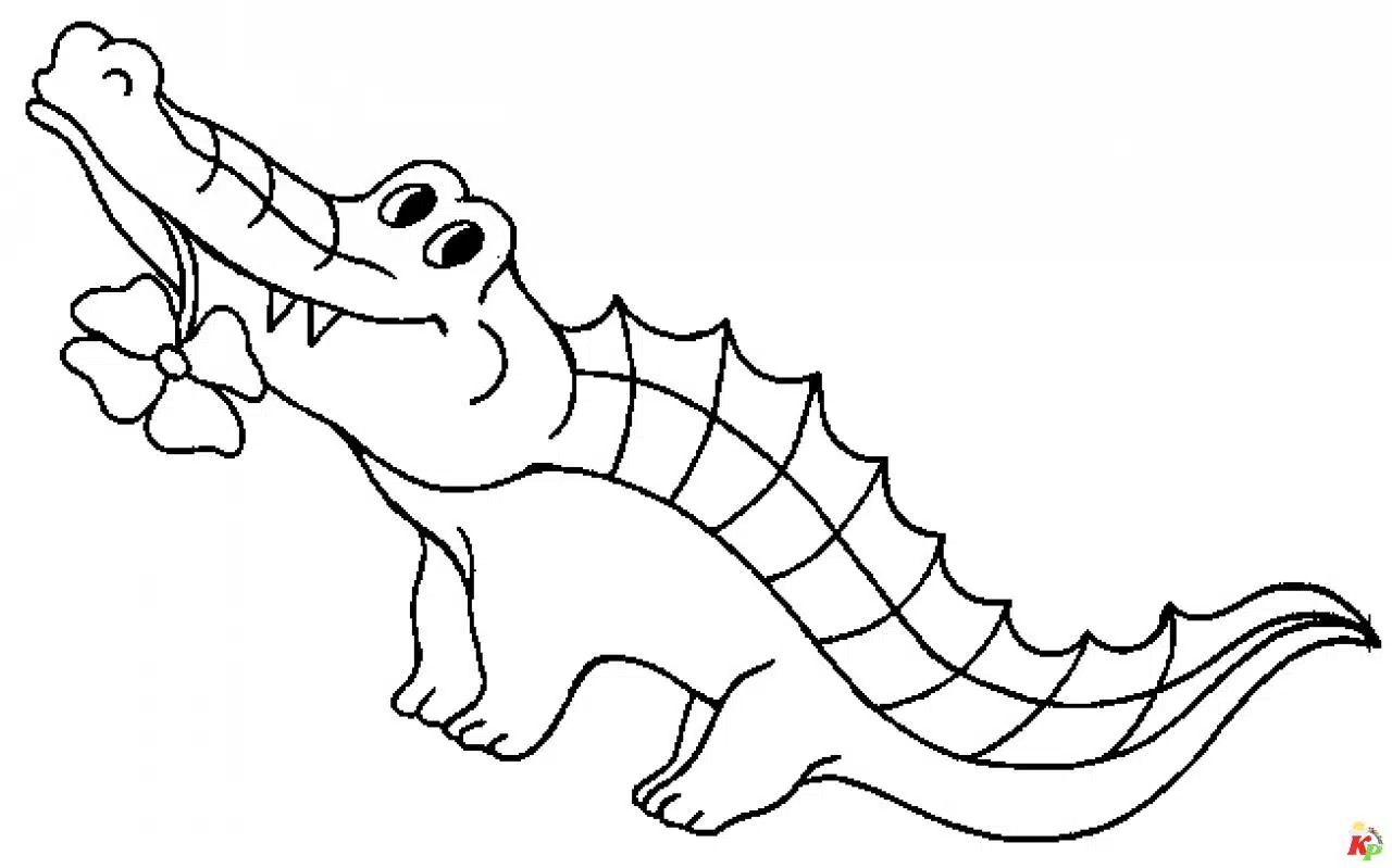 Krokodil02