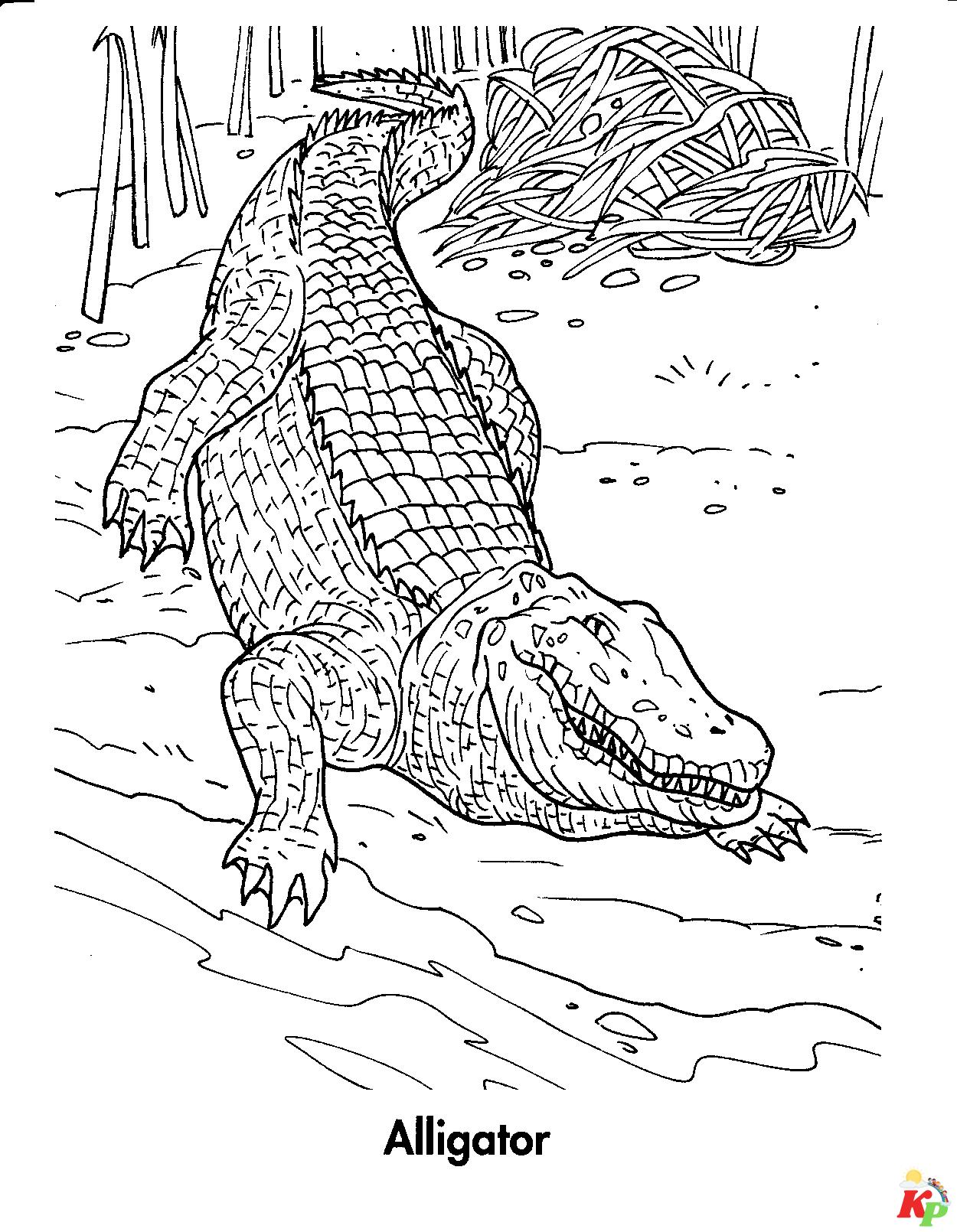 Krokodil07