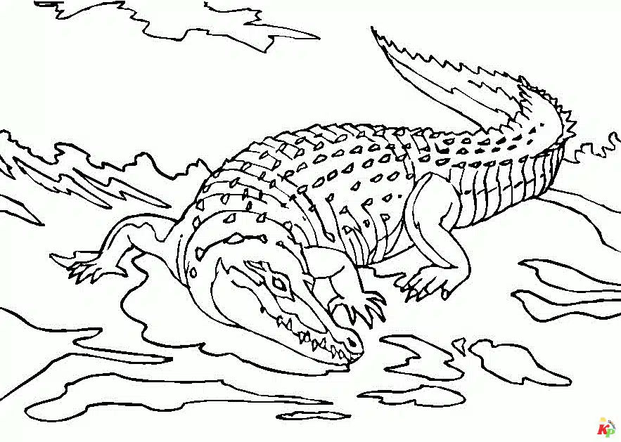Krokodil09