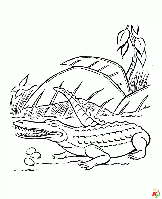 Krokodil12