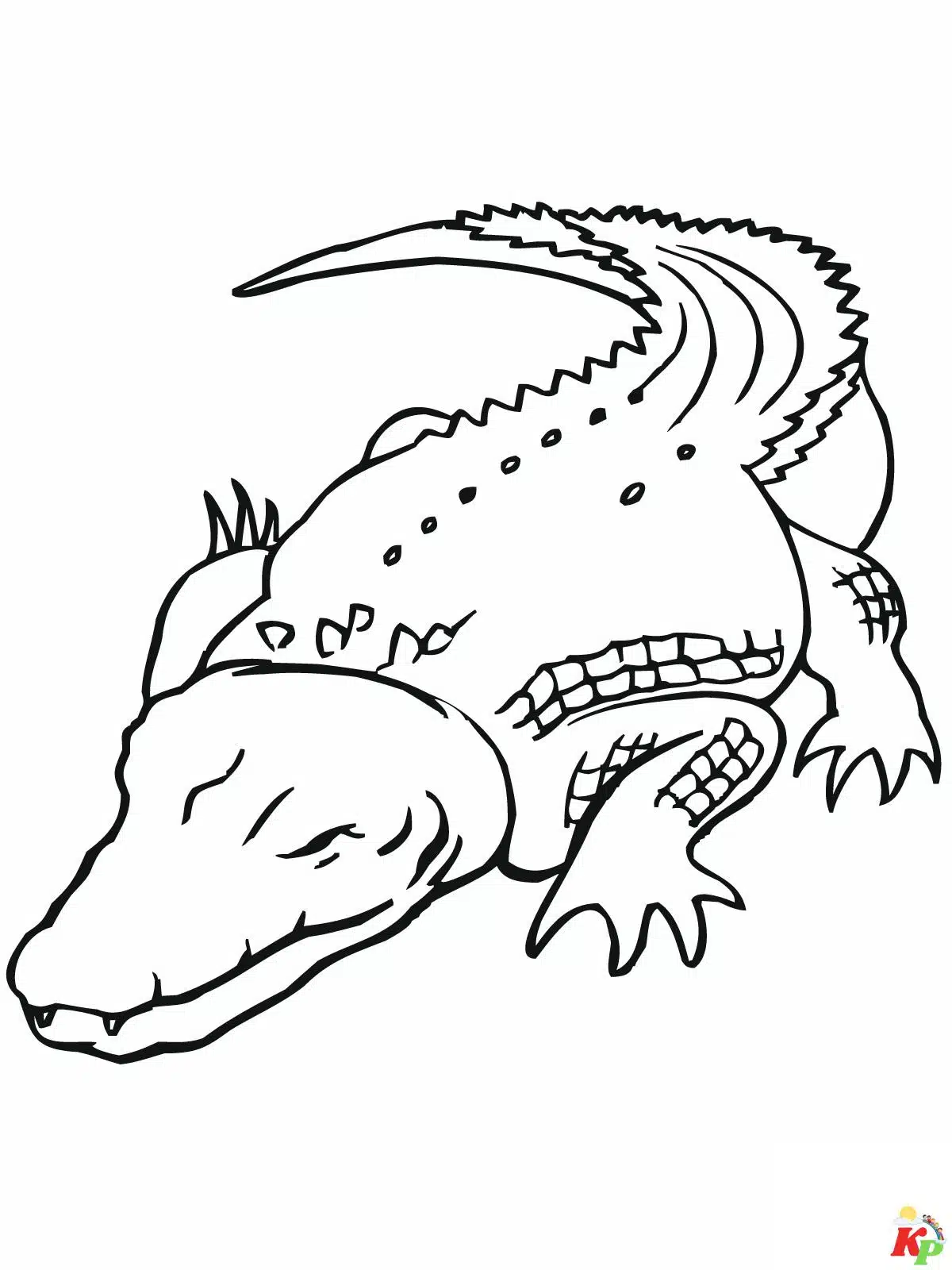 Krokodil14