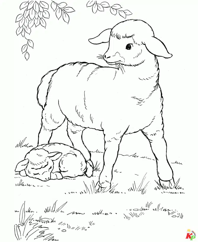 Lammetje (2)