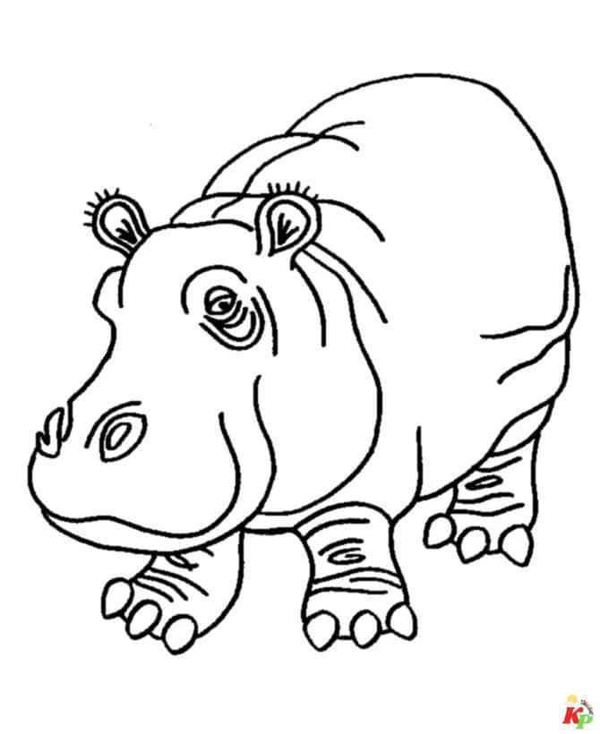 Nijlpaard (1)