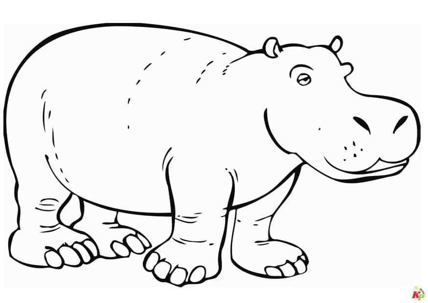 Nijlpaard (8)