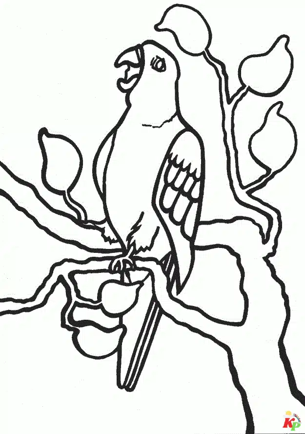 Papegaai01