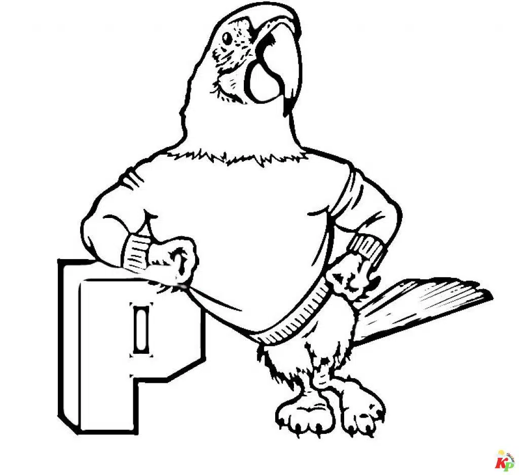 Papegaai06