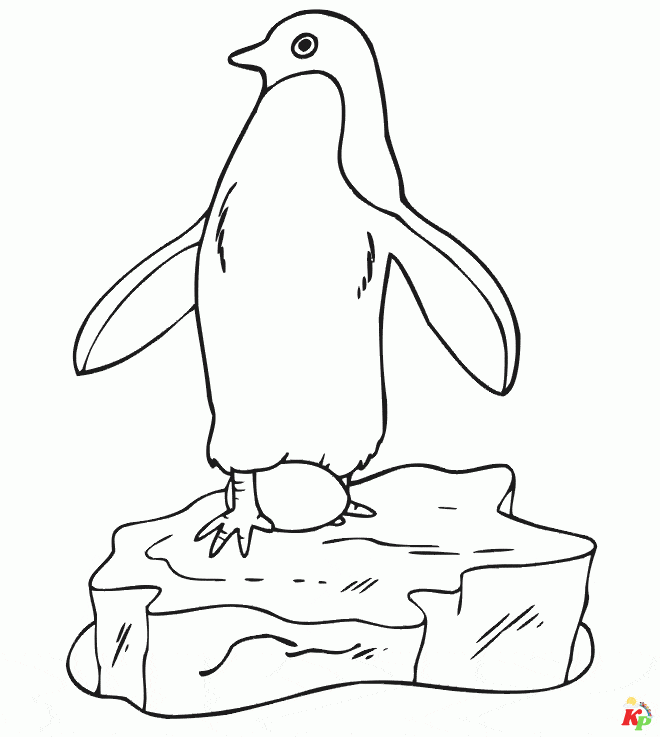 Pinguins06