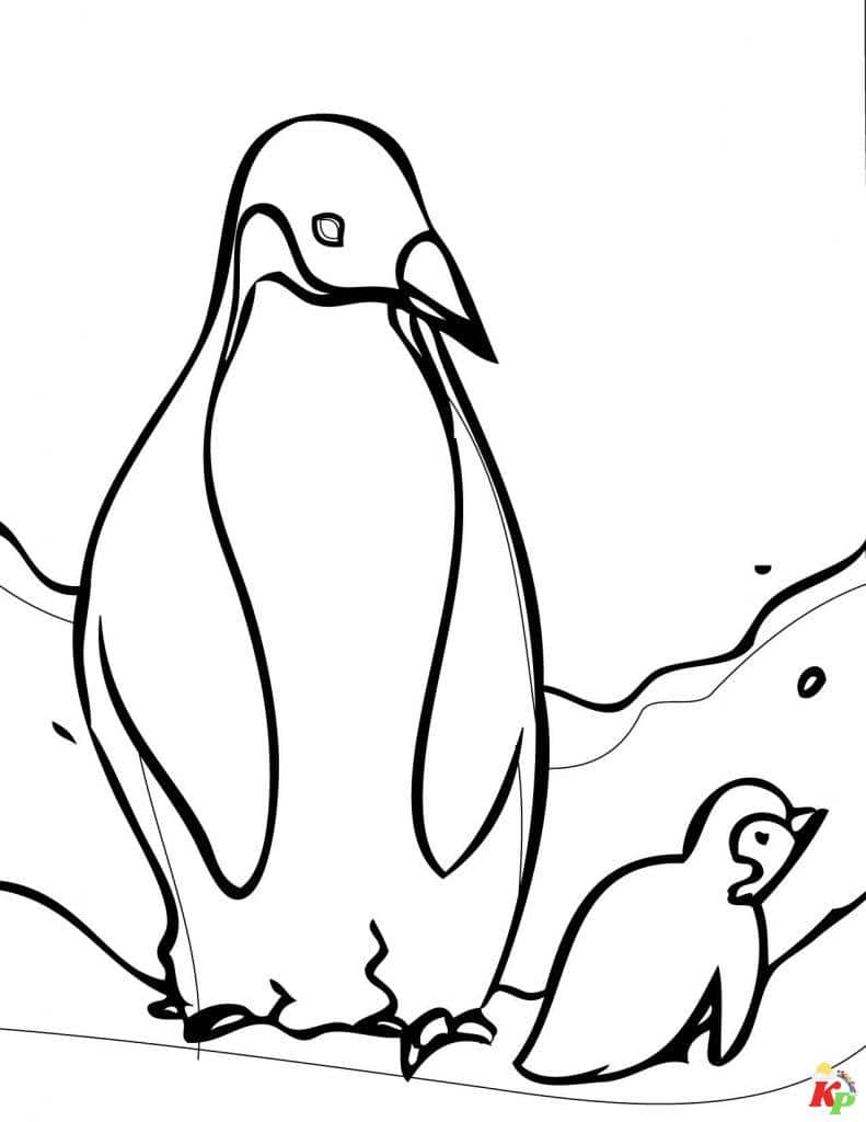Pinguins08