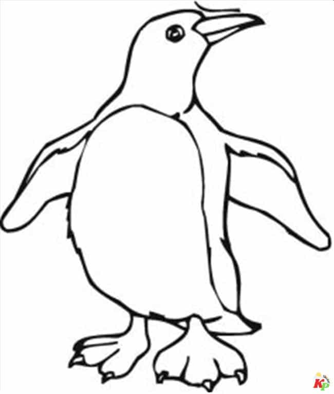 Pinguins14