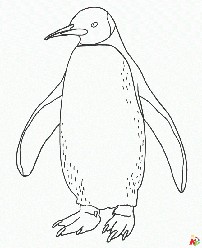 Pinguins16