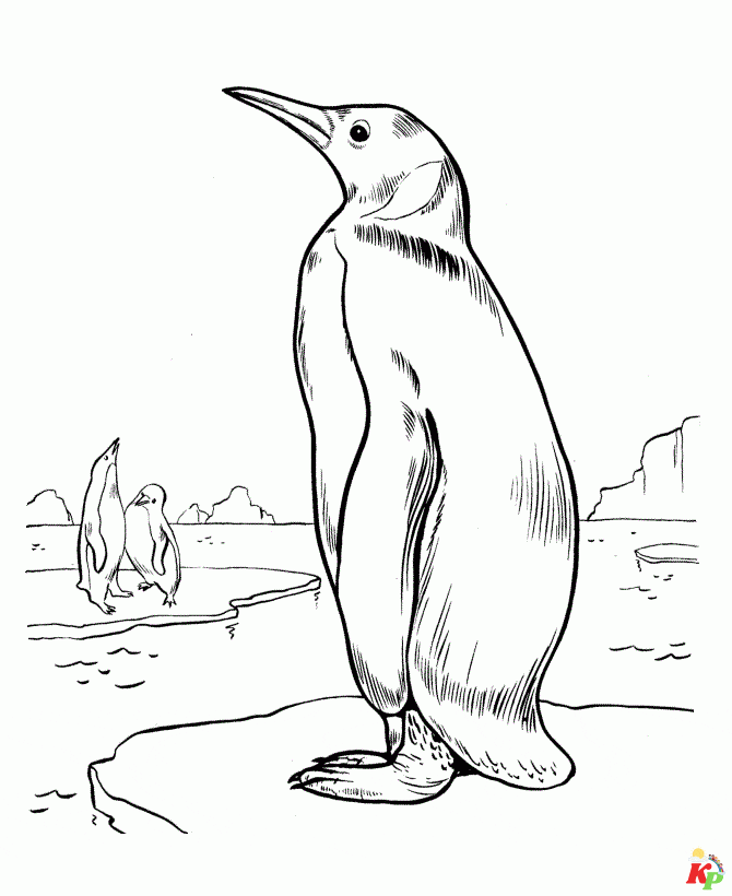 Pinguins22