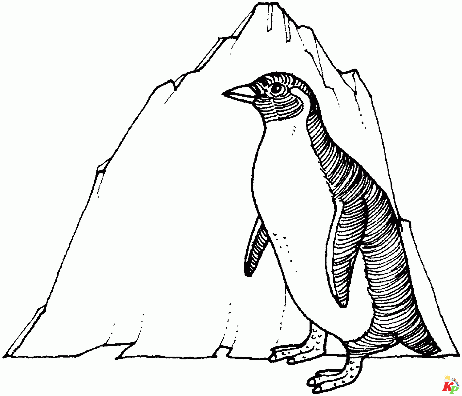 Pinguins24
