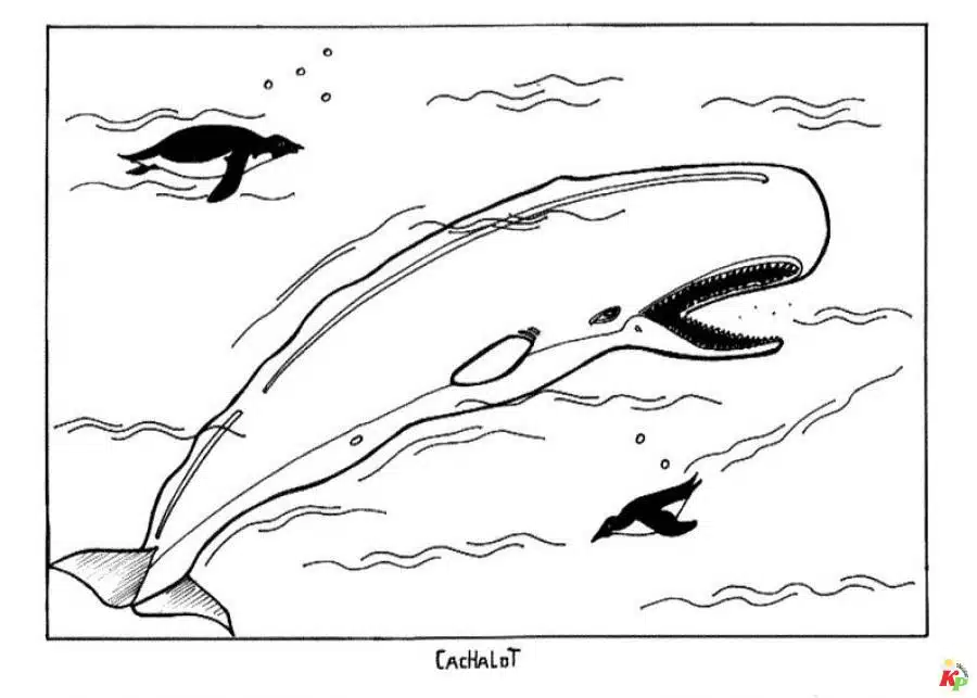 Walvis01