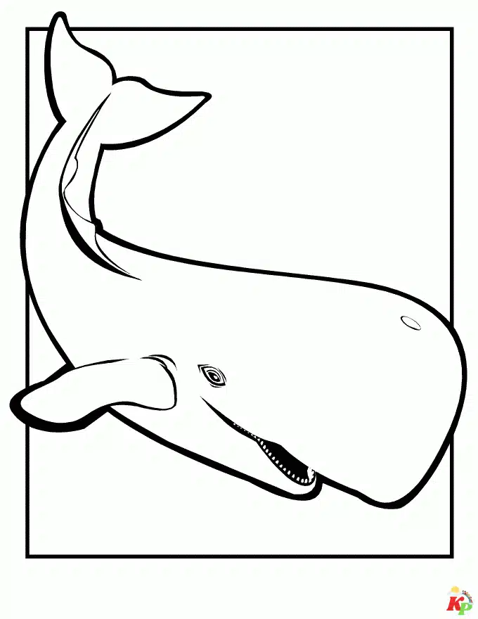 Walvis07