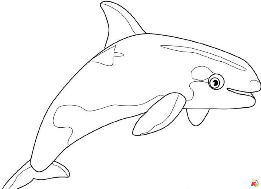 Walvis08