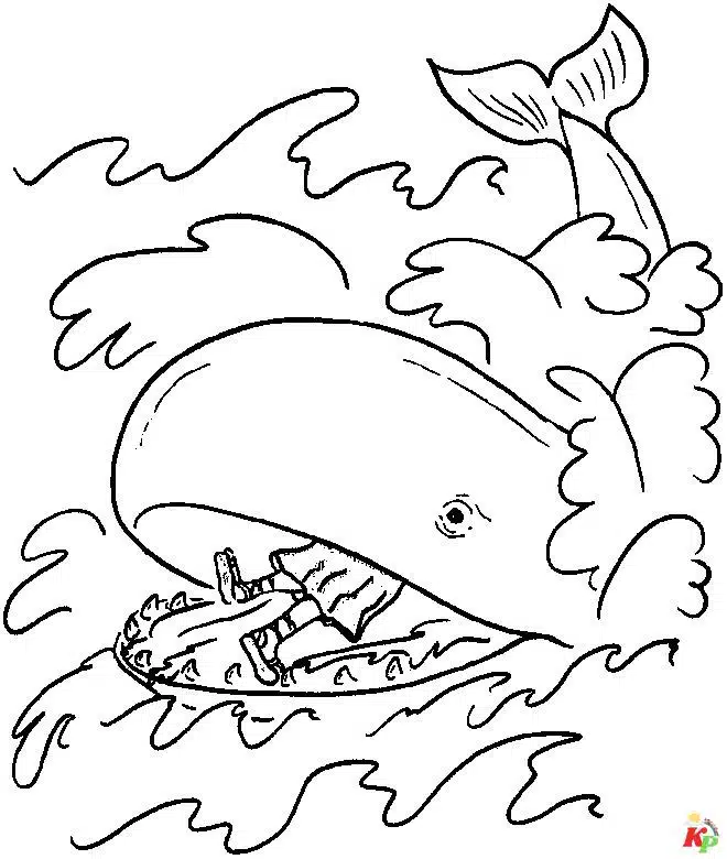 Walvis12