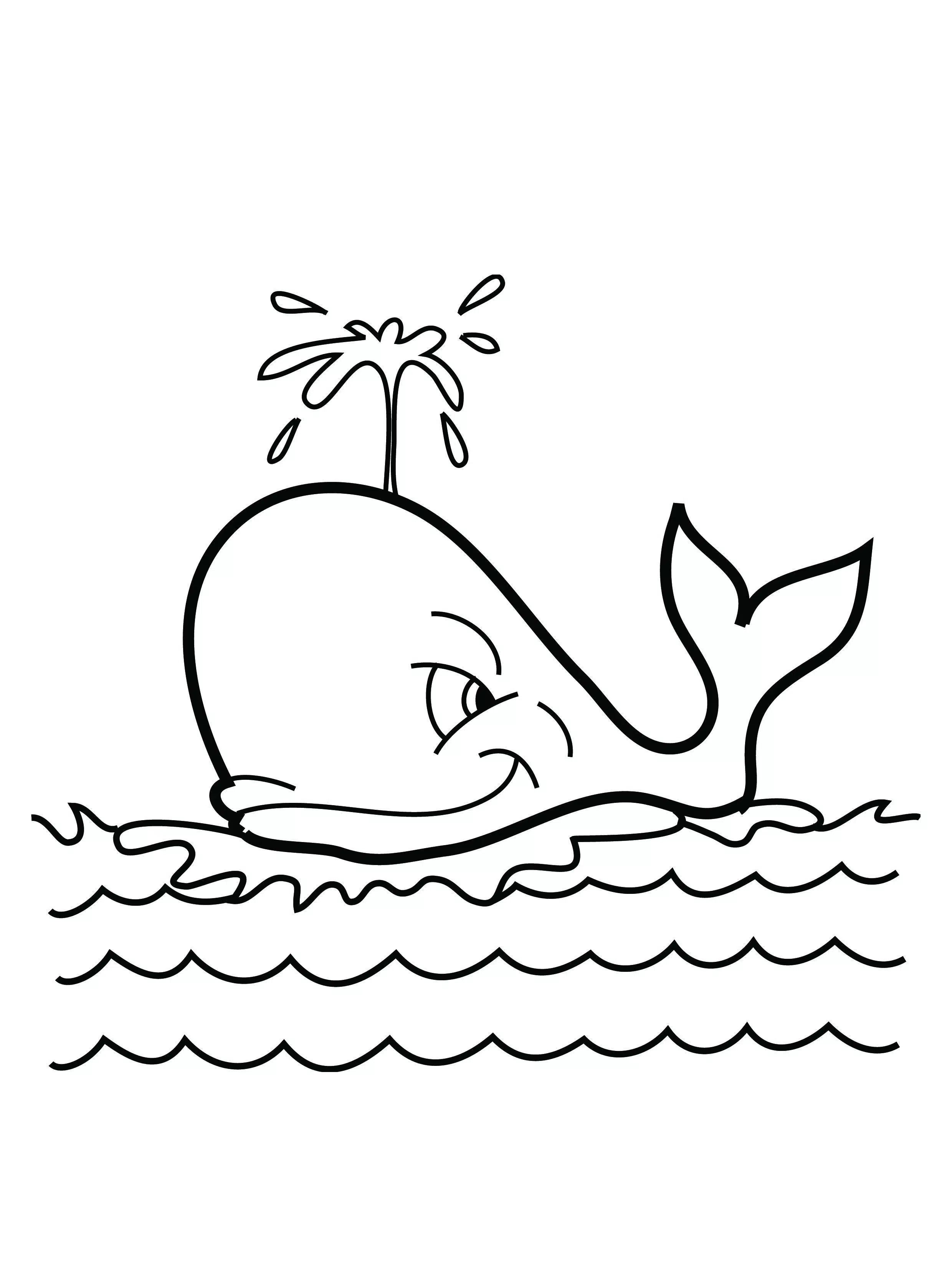Walvis13