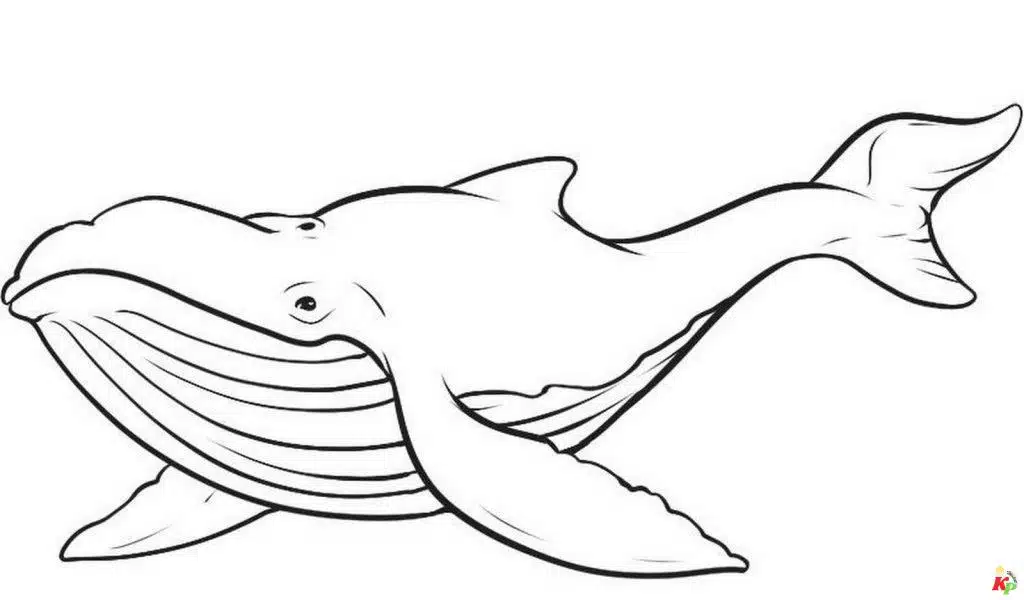 Walvis14