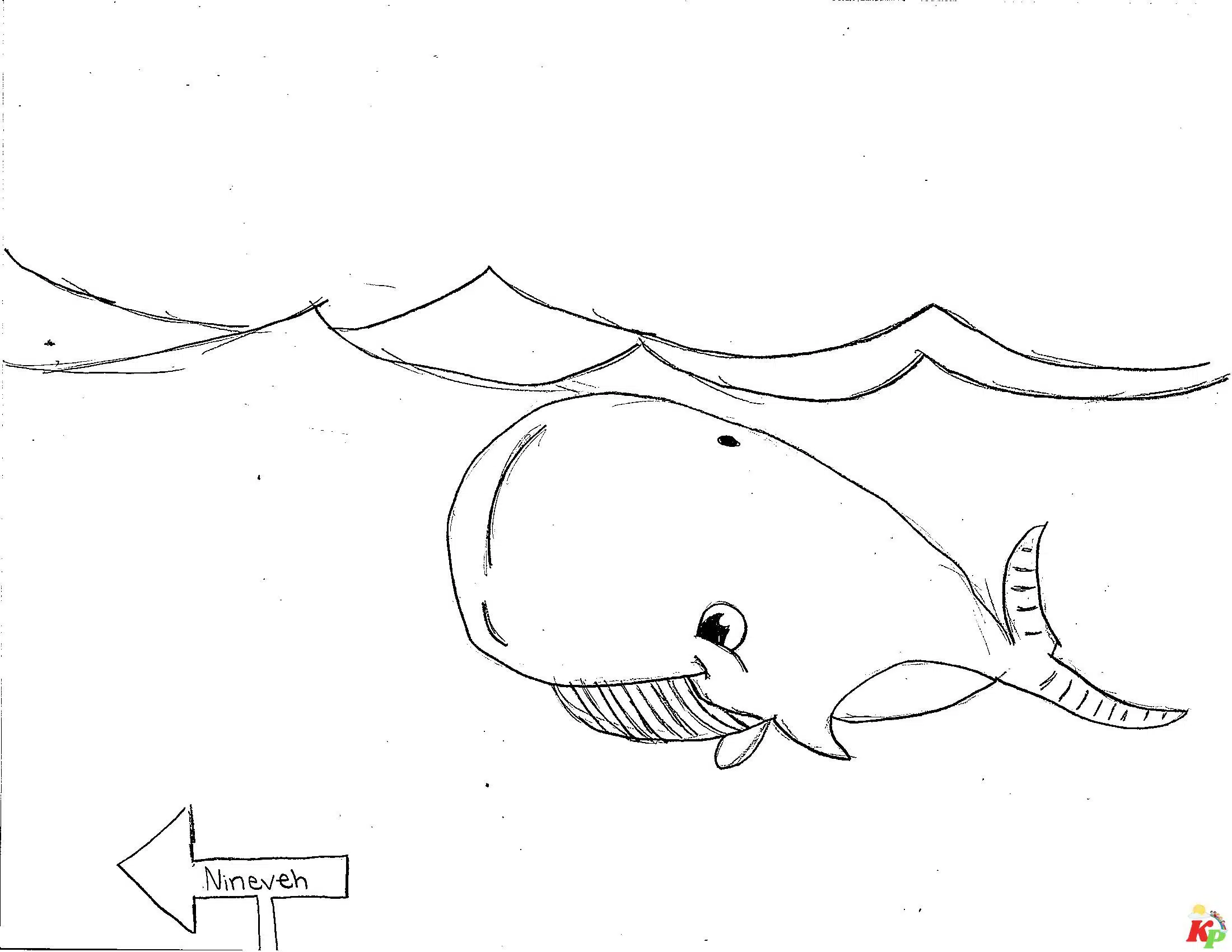 Walvis16