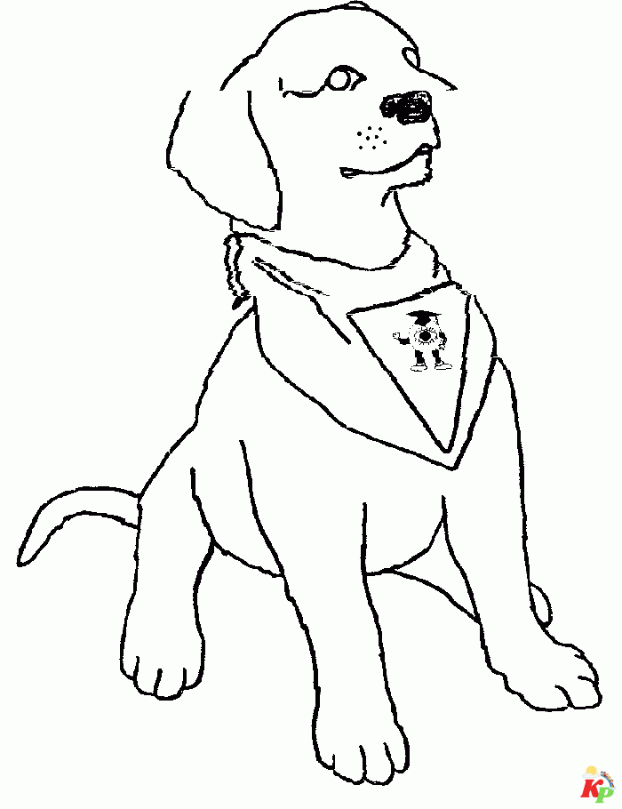 honden11