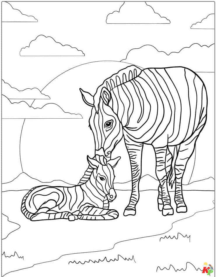 zebra kleurplaten (1)