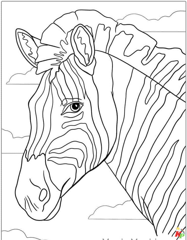 zebra kleurplaten (5)