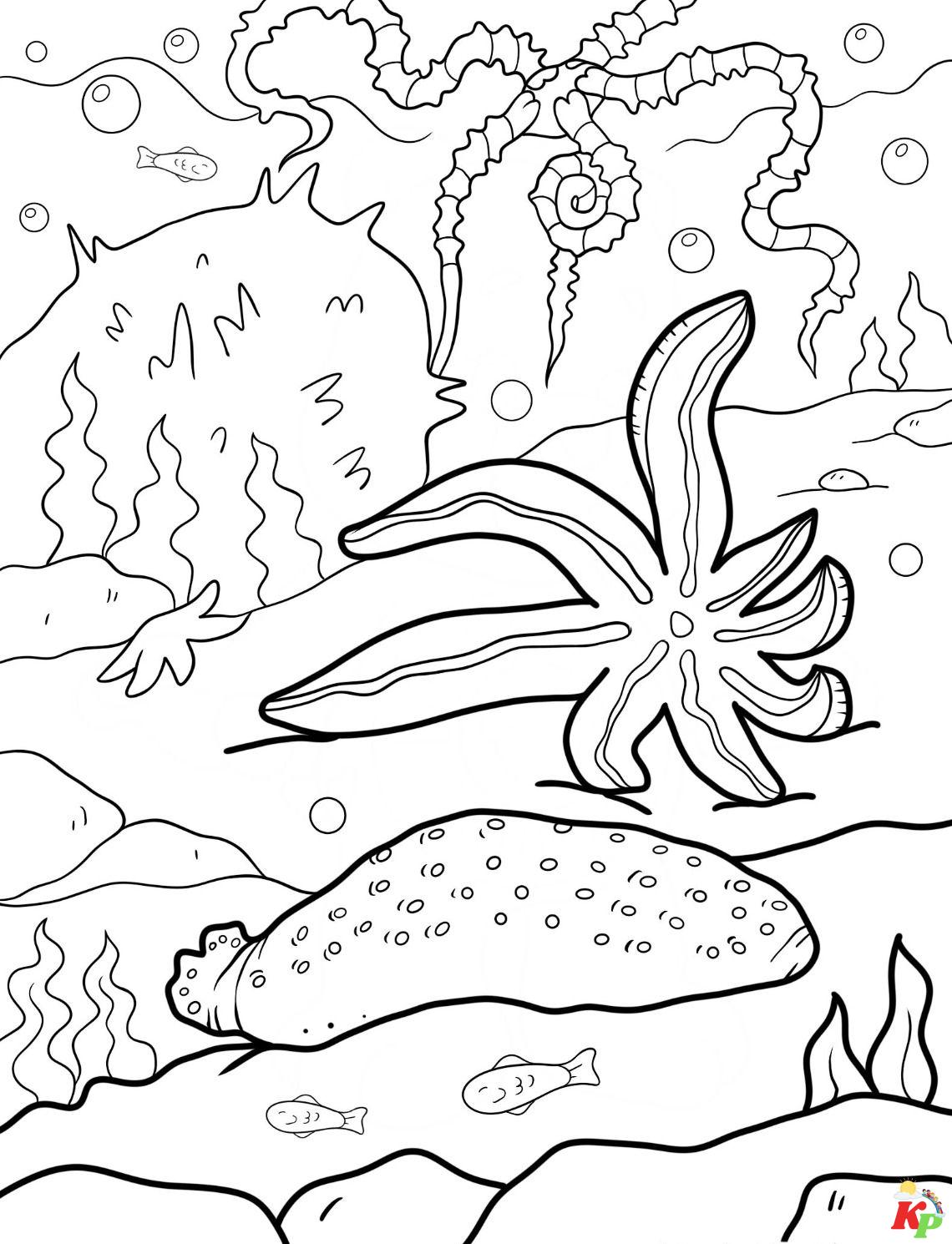 Zeeter Coloring Zeester Kleurplaten: Duik in de wondere wereld van de oceaan!