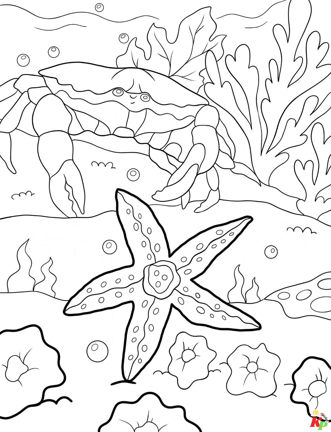 Zeeter Coloring Zeester Kleurplaten: Duik in de wondere wereld van de oceaan!